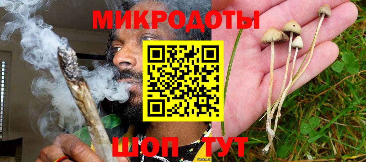 Псилоцибиновые грибы MAGIC MUSHROOMS  Вход с VPN  Галлюциногенные грибы Psilocybe  Похвистнево 